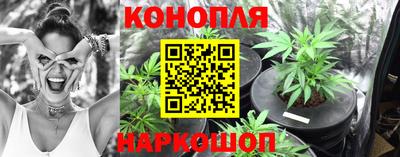 спиды Ачхой-Мартан